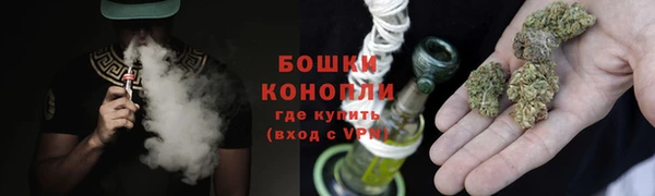 дживик Нея